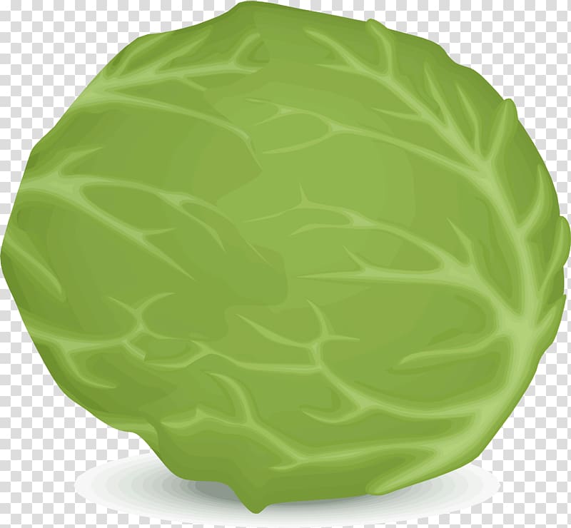 Leaf vegetable Iceberg lettuce Food, cabbage transparent background PNG clipart