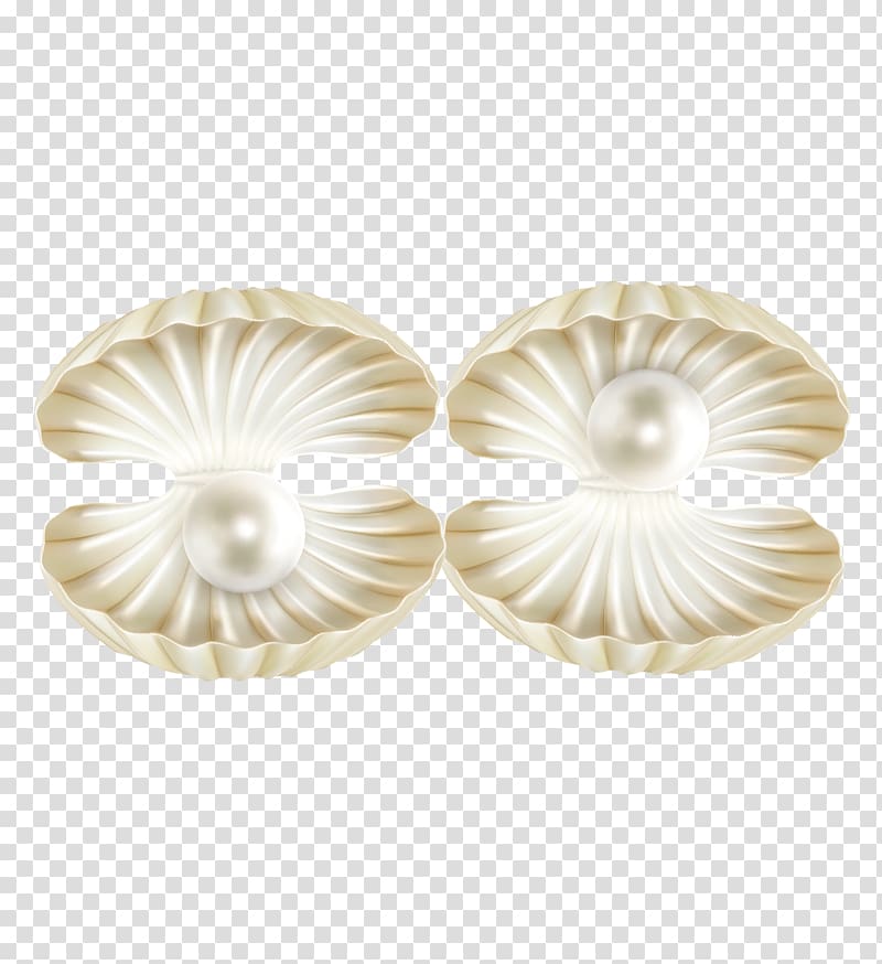 Scallop Shell PNG Transparent, Pretty Pattern Of Scallop Shells