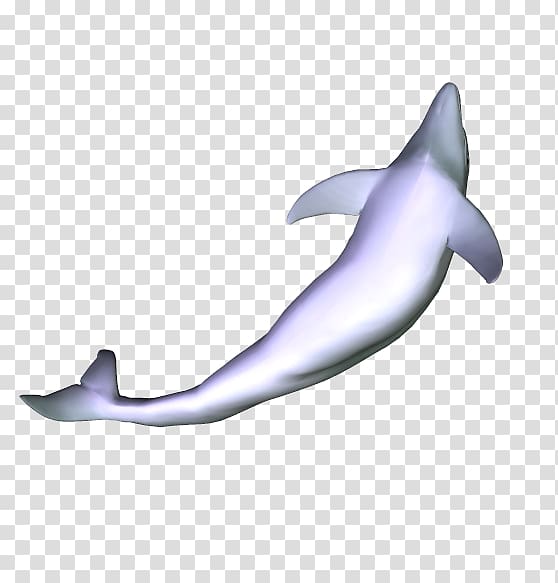 Common bottlenose dolphin Tucuxi Short-beaked common dolphin Rough-toothed dolphin Porpoise, dolphin transparent background PNG clipart