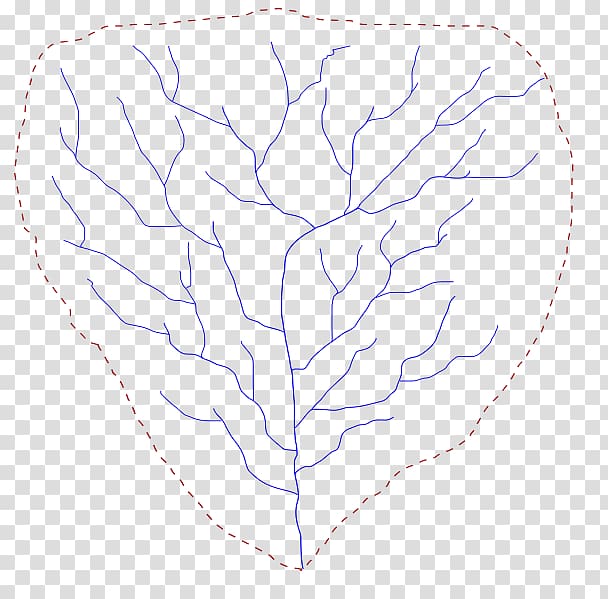 /m/02csf Organ Drawing Leaf Tree, hydrosphere transparent background PNG clipart