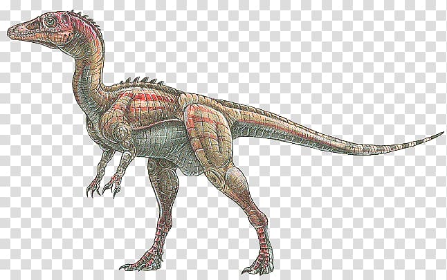 Eoraptor lunensis Velociraptor Dinosaur Tyrannosaurus Alamosaurus, dinosaur transparent background PNG clipart