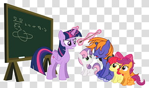 Pony Horse, horse transparent background PNG clipart thumbnail