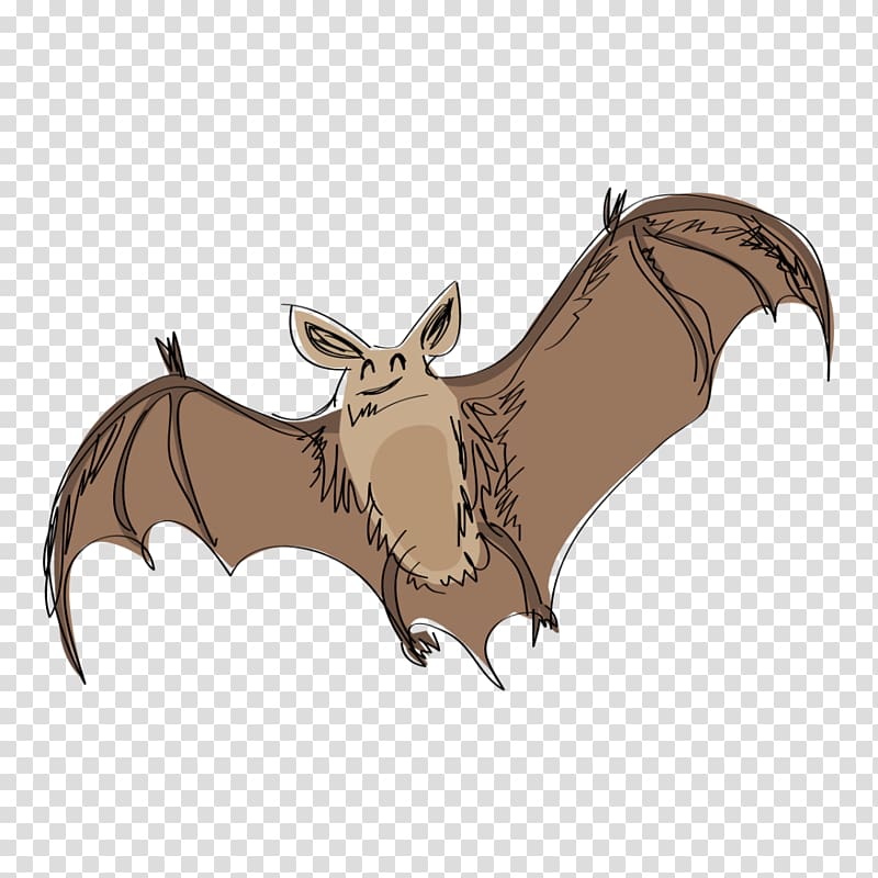 Bat Drawing Cartoon, hand painted bat transparent background PNG clipart