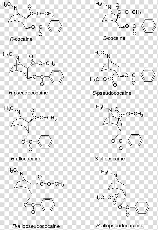Stereoisomerism Stereocenter Cocaine Benzocaine Tropane, Stereoisomerism transparent background PNG clipart