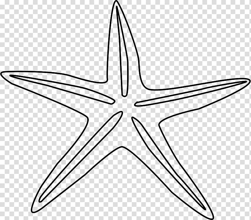 Starfish Coloring book Line art , Free Star transparent background PNG clipart