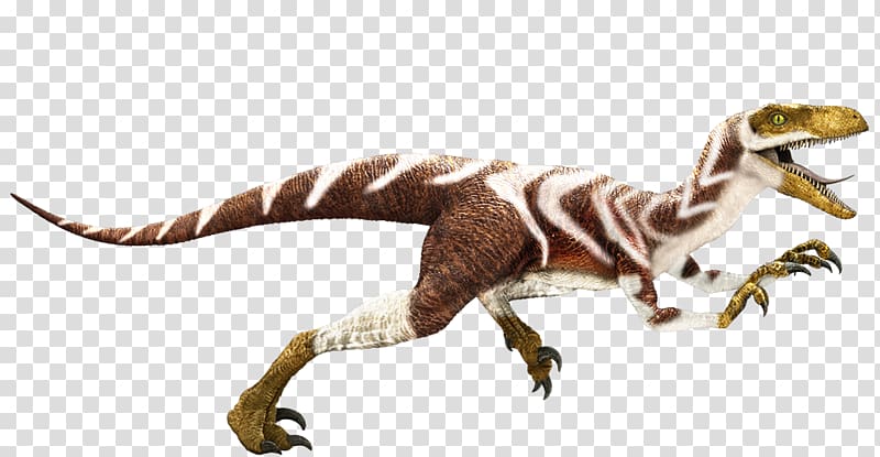 Apatosaurus Velociraptor Dinosaur King Baryonyx Edmontosaurus, jurassic world transparent background PNG clipart