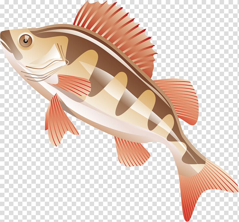 Fishing rod , Cartoon fish material transparent background PNG clipart