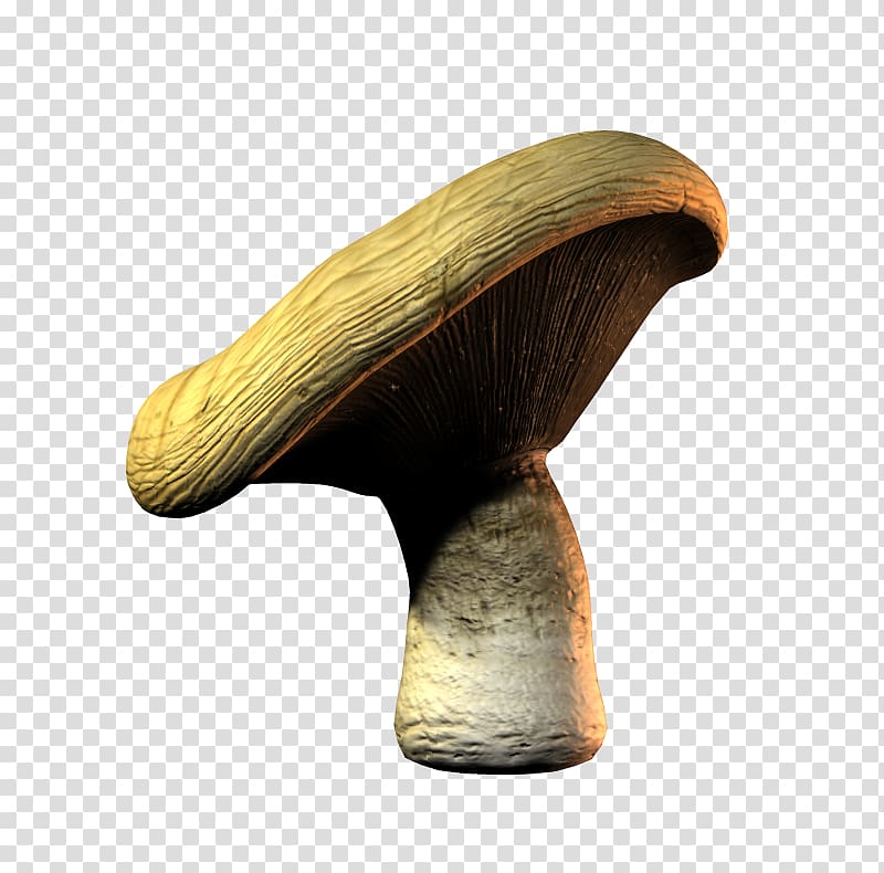 Edible mushroom Pleurotus eryngii Portable Network Graphics File format, mushroom transparent background PNG clipart