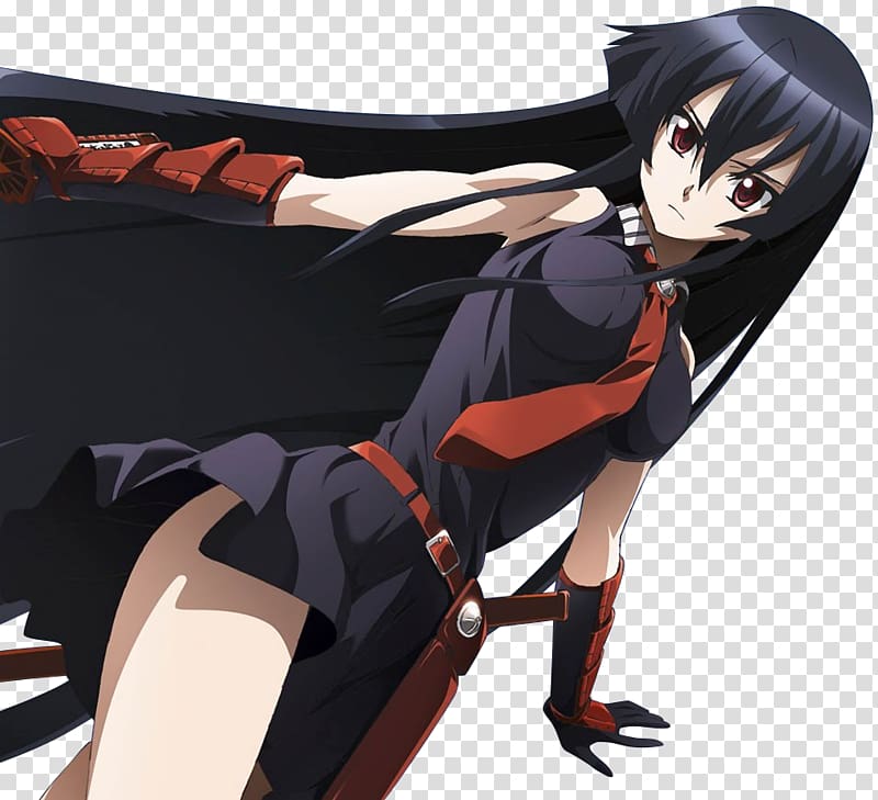 Akame anime girl-Design Desktop Wallpaper Preview