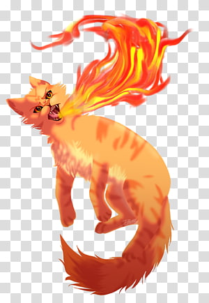 Whiskers Cat Dog Canidae, Cat transparent background PNG clipart thumbnail