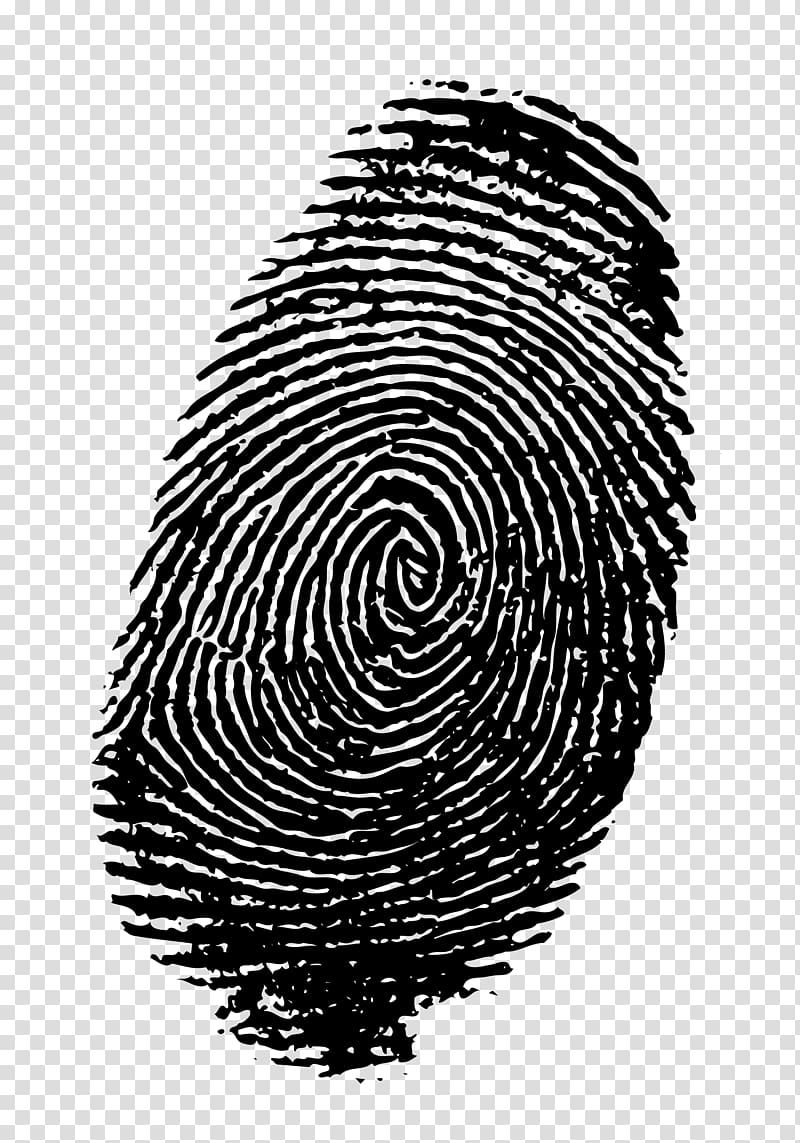 Fingerprint , fingerprints transparent background PNG clipart