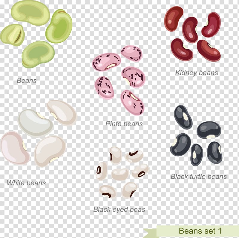 Cowboy beans Pinto bean Refried beans, others transparent background PNG clipart
