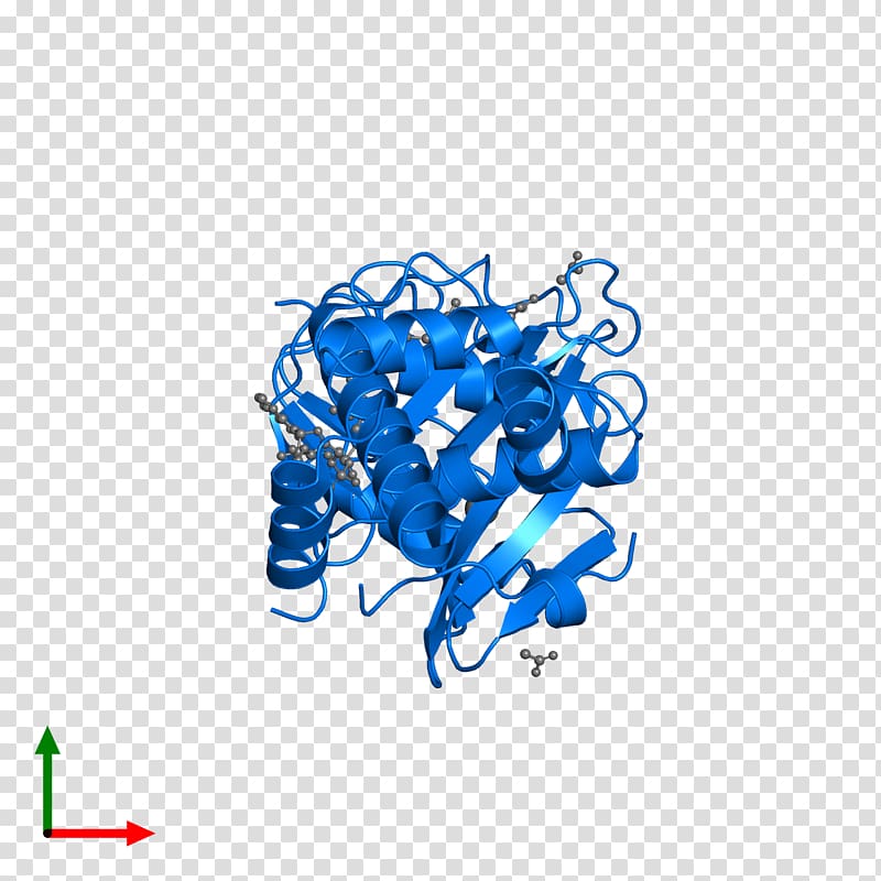 Protein Data Bank GDP-fucose protein O-fucosyltransferase 2 Thrombospondin, others transparent background PNG clipart