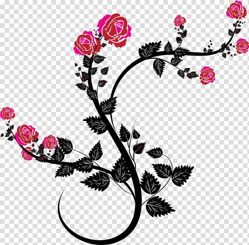 Rose Vine , Floral Flourish transparent background PNG clipart