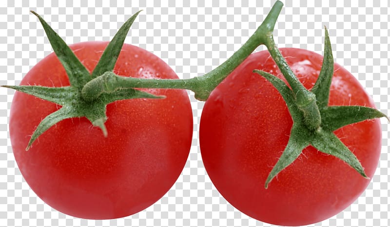 Salsa Rotten Tomatoes Pizza Food, Tomato transparent background PNG clipart