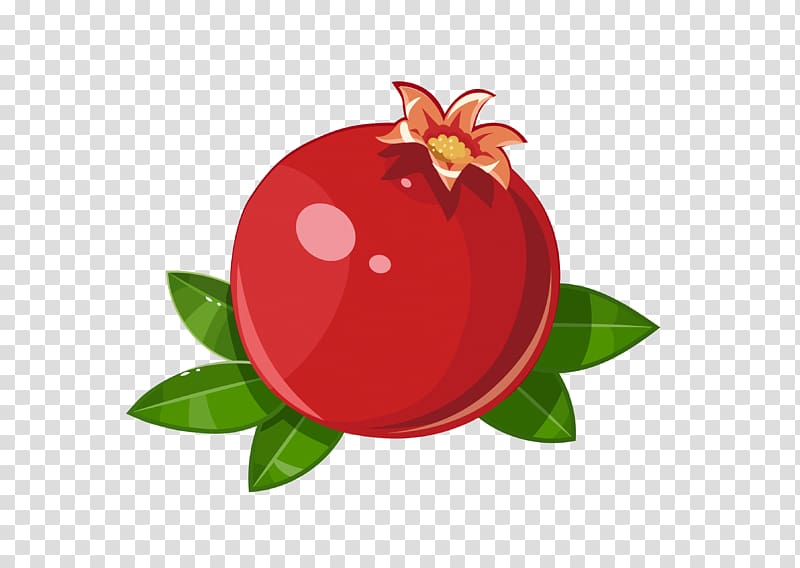 Pomegranate Frutti di bosco Fruit Illustration, Pomegranate transparent background PNG clipart