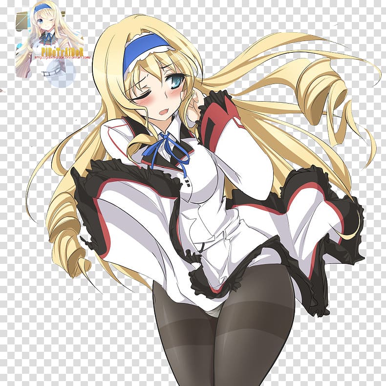 Cecilia Alcott (IS: Infinite Stratos) - Pictures 