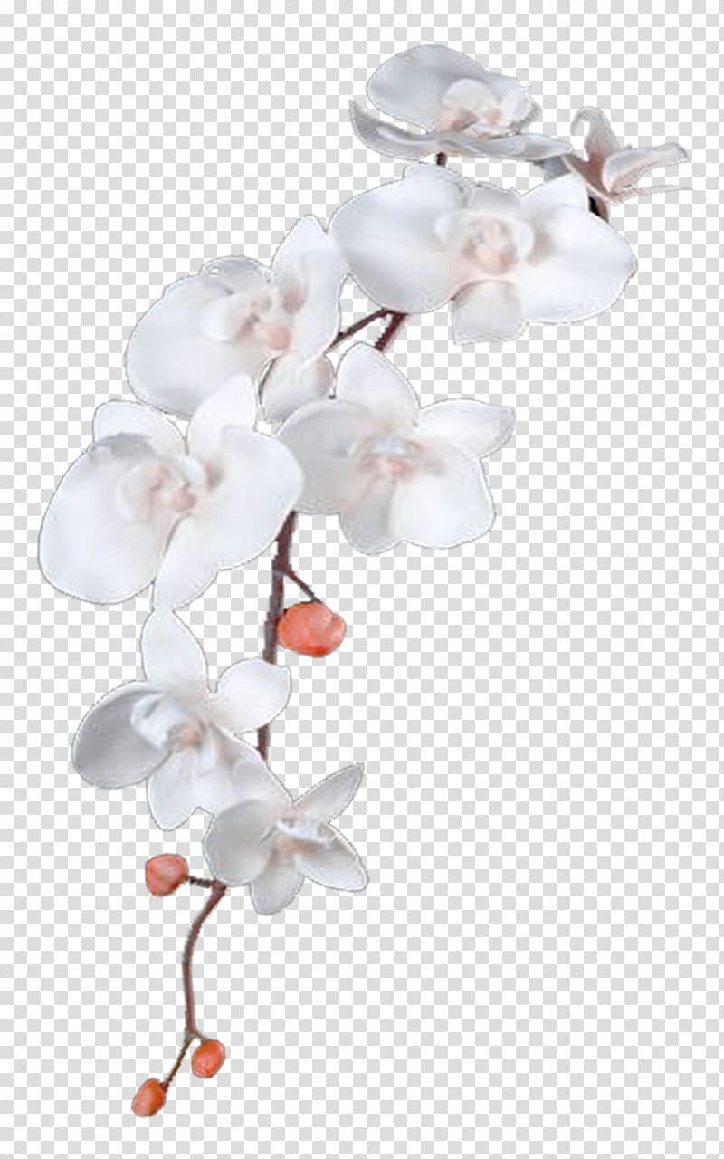 Flower Heavenly Healing Hands, white flowers transparent background PNG clipart