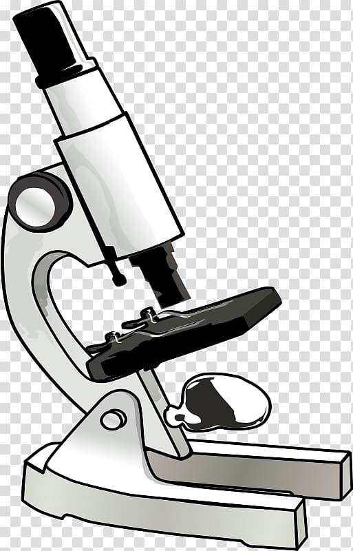 Microscope , Biology transparent background PNG clipart