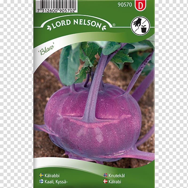 Kale Seed Всхожесть семян Brussels sprout .fi, Brassica Oleracea transparent background PNG clipart