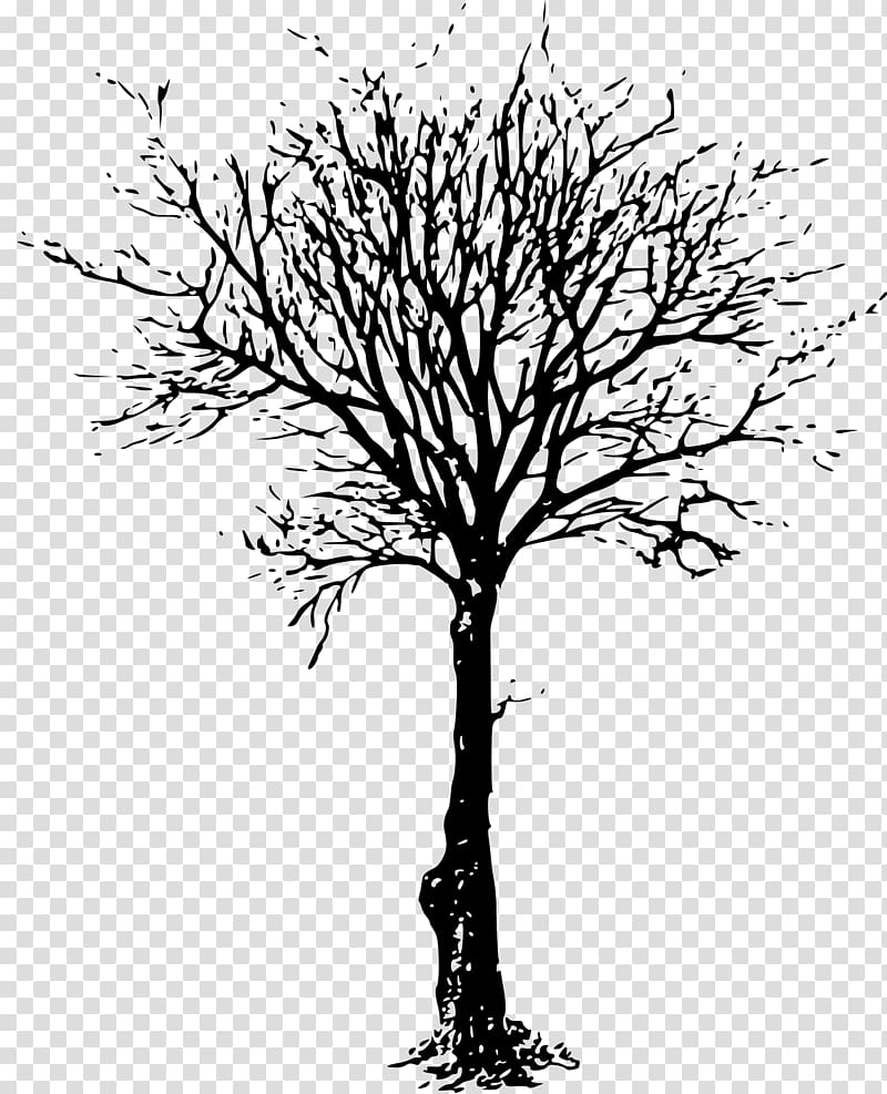 How To Draw Tree Silhouette Step by Step #TreeDrawing - YouTube