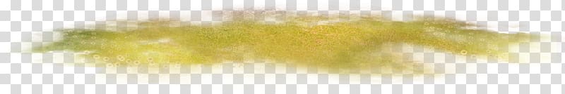 Yellow Close-up Sky Eyelash, Orange lawn transparent background PNG clipart