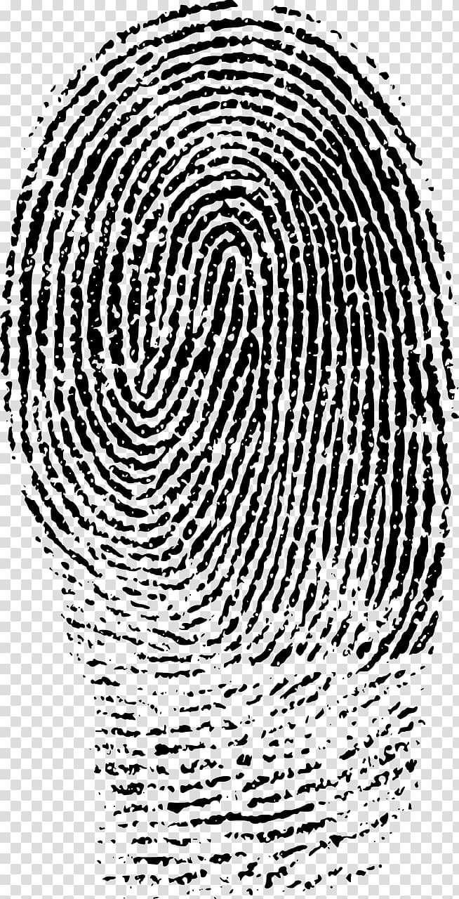 Fingerprint Forensic science , fingerprints transparent background PNG clipart