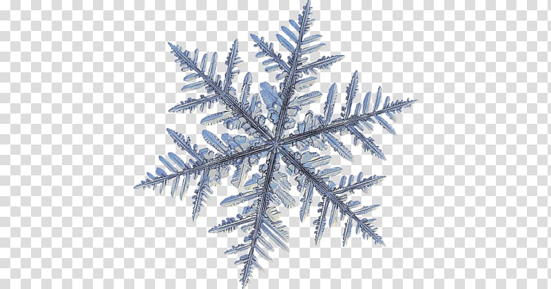 Snowflake Dendrite Crystal Macro , Snowflake transparent background PNG clipart