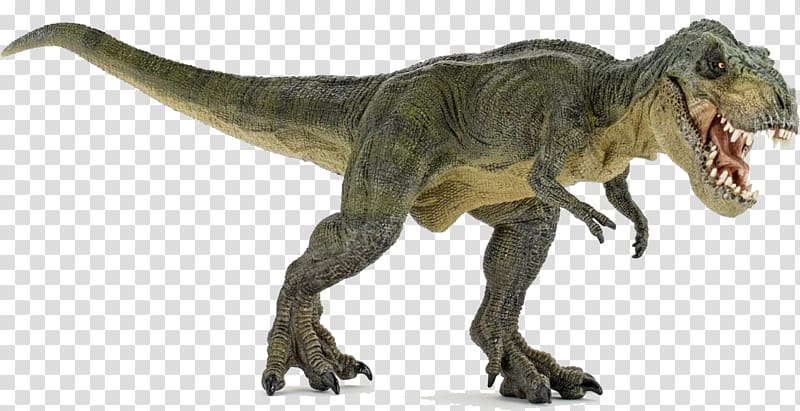 green tyrannosaurus rex , Tyrannosaurus Triceratops Ceratopsia Guanlong Dinosaur, Dinosaur transparent background PNG clipart