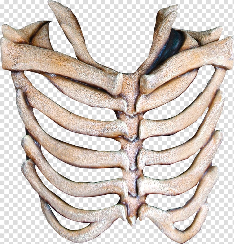 Human skeleton Mask Bone Rib, mask transparent background PNG clipart