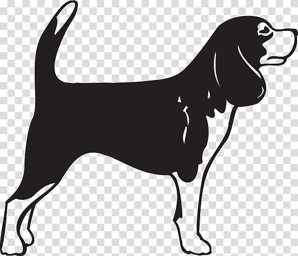 Beagle German Shorthaired Pointer Bullmastiff English Mastiff Puppy, puppy transparent background PNG clipart