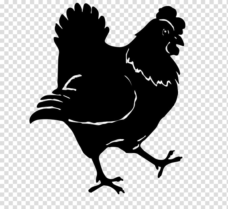 Rooster Chicken Hen Garden Poule pondeuse, chicken transparent background PNG clipart