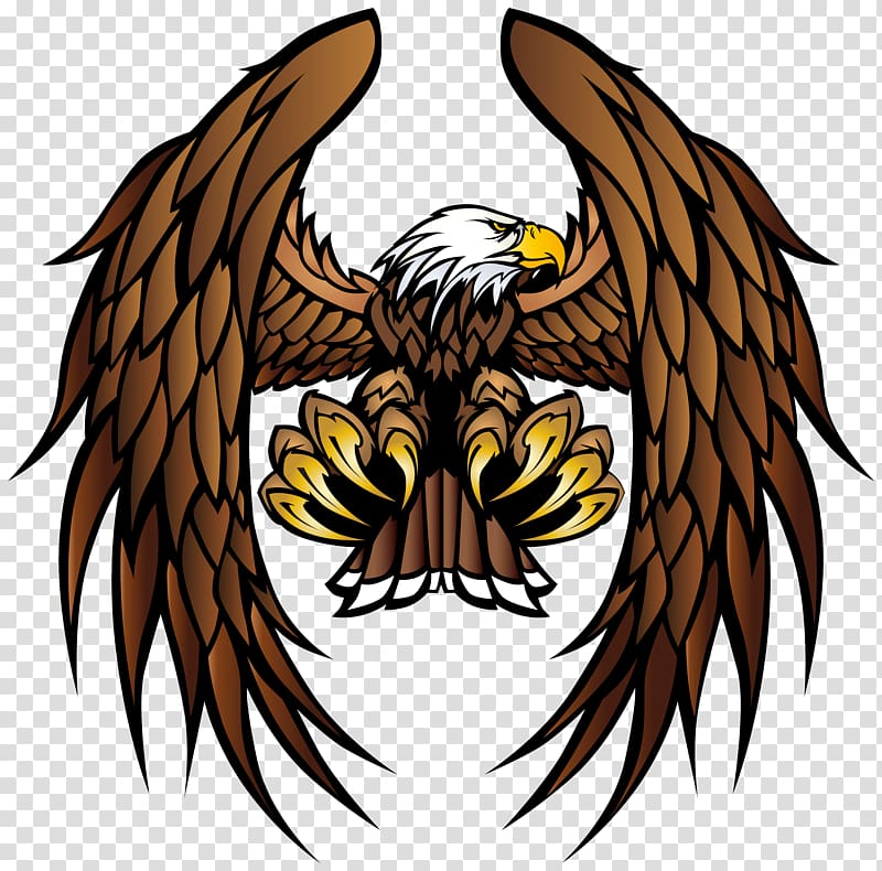 Bald Eagle, claw transparent background PNG clipart
