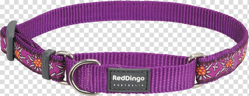 Clothing Accessories Dog collar Watch strap, Dog transparent background PNG clipart