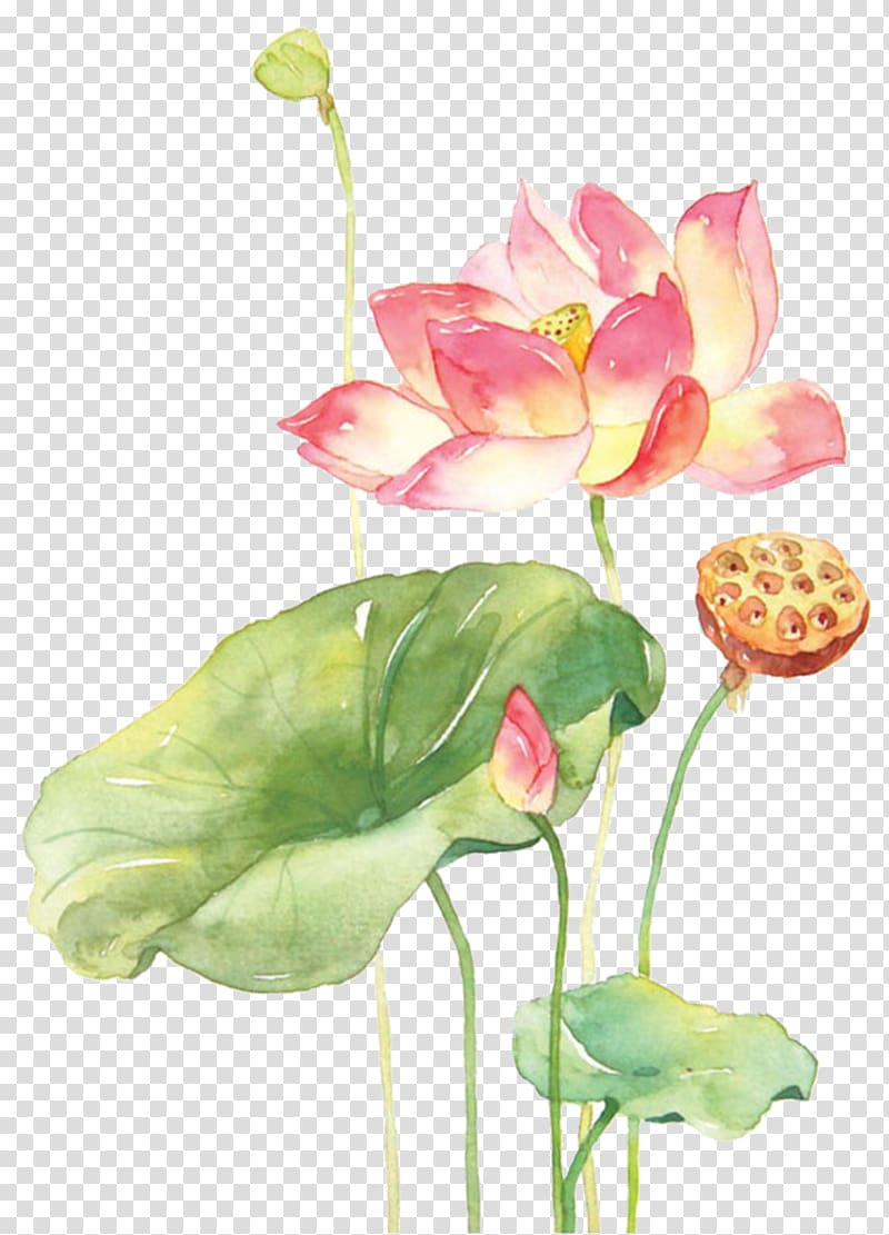 pink and yellow lotus flower art, Watercolor Painting Techniques Watercolour Flowers Nelumbo nucifera, painting transparent background PNG clipart