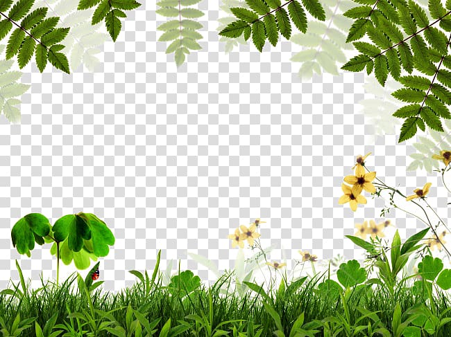 yellow petaled flowers and green grass illustration, Green Leaf Euclidean , Spring green background border transparent background PNG clipart