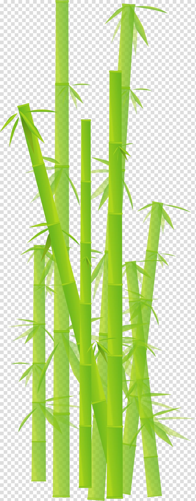 Bamboo transparent background PNG clipart