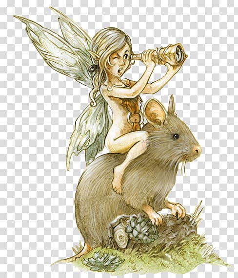 Fairy Illustrator Drawing Painter Illustration, Ride rabbit wizard transparent background PNG clipart