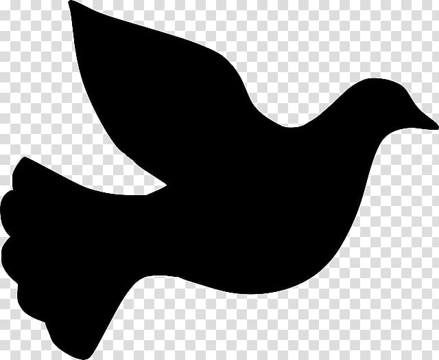 Columbidae Silhouette Doves as symbols , dove transparent background PNG clipart