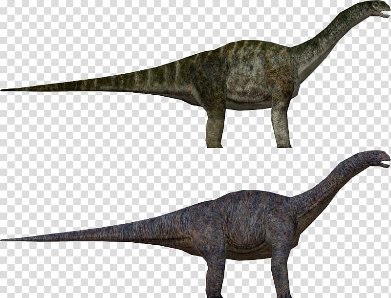 Velociraptor Apatosaurus Jurassic Park: Operation Genesis Tyrannosaurus Parasaurolophus, dinosaur transparent background PNG clipart