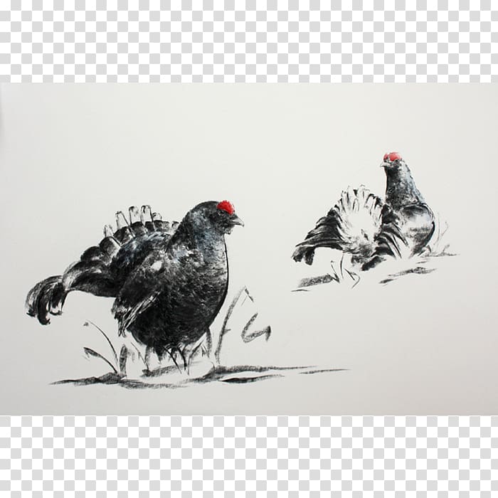 Watercolor painting Rooster Rhinoceros Chicken, painting transparent background PNG clipart