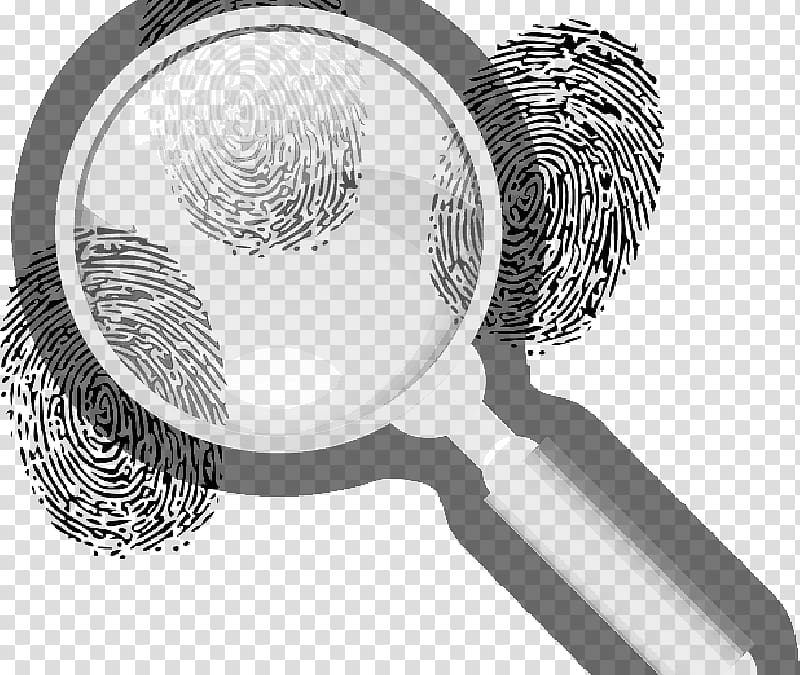 Forensic science Background check Crime Private investigator, riotous transparent background PNG clipart