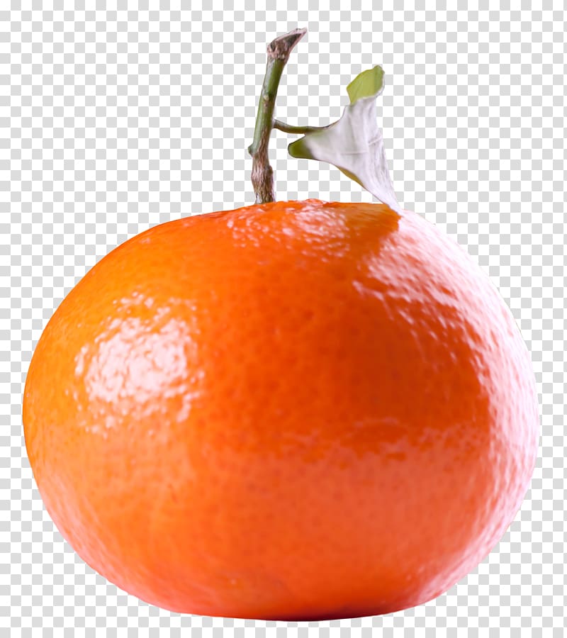 Tangerine Orange Tangelo Fruit, Tangerine Citrus Fruit transparent background PNG clipart