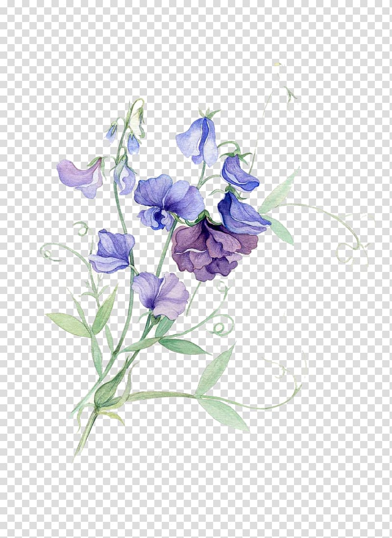 blue and purple flowers illustration, Paper Sweet pea Watercolor painting Flower, Purple pea flowers material transparent background PNG clipart
