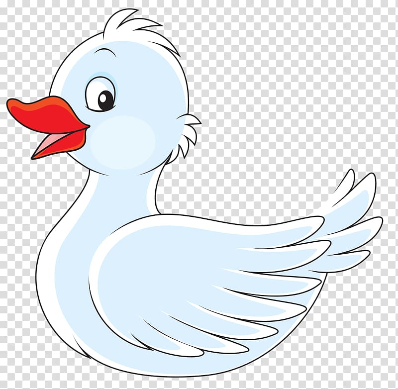 Cygnini Duck, White swan transparent background PNG clipart