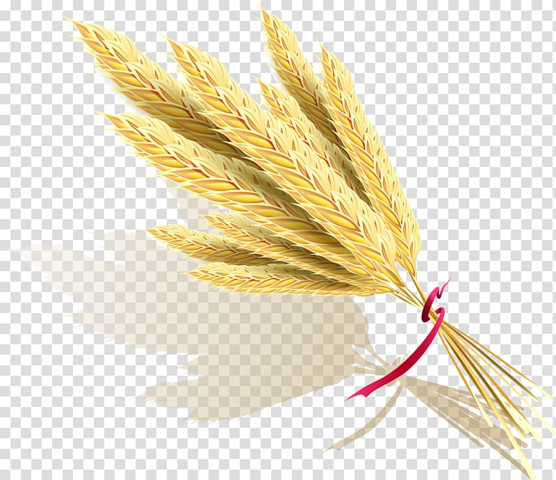 Rice Icon, Rice transparent background PNG clipart