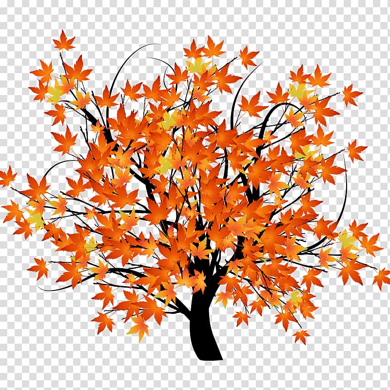 Autumn leaf color Tree Maple, tree,Trees,wood,plant transparent background PNG clipart