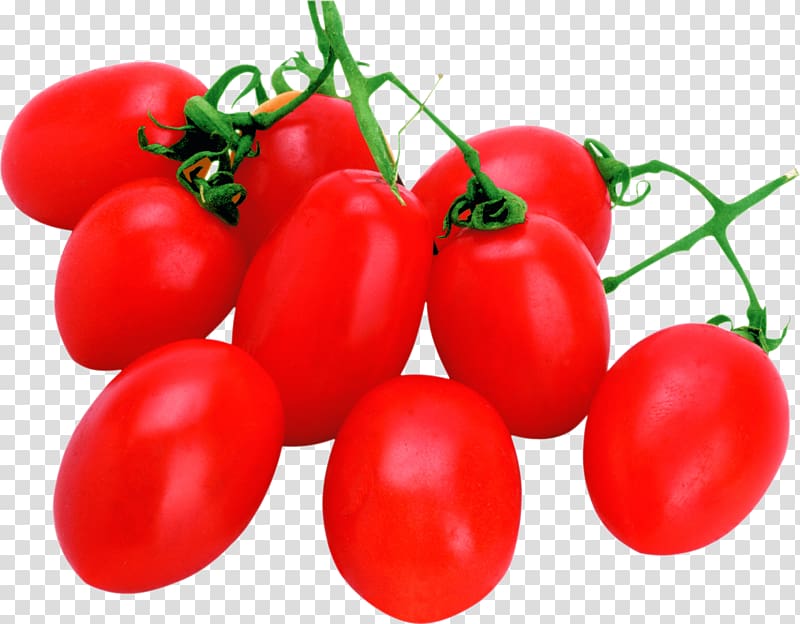 Cherry tomato Computer Icons , vegetable transparent background PNG clipart