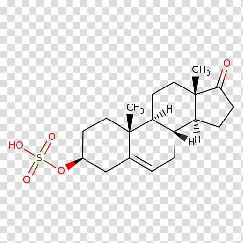 Dehydroepiandrosterone Chemical compound 5α-Reductase Androstenedione Androstane, others transparent background PNG clipart