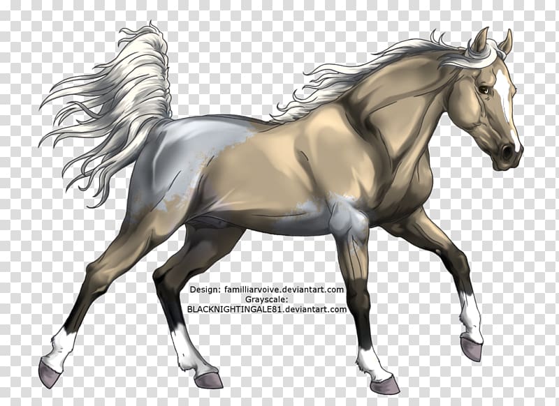 Mustang Mane Foal Stallion Pony, mustang transparent background PNG clipart